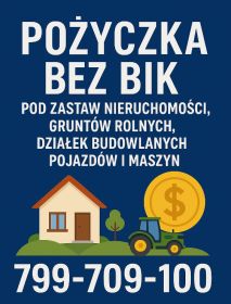 Pożyczka bez BIK pod zastaw