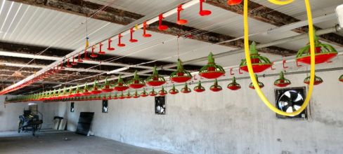 Elektryk, hydraulik, pompy ciepła, rekuperacja, alarm,...