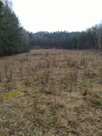 Sprzedam działkę zabudowaną