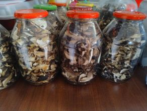 Grzybki suszone, prawdziwki, kozaki, podgrzybki