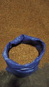 Sprzedam kukurydze suchą