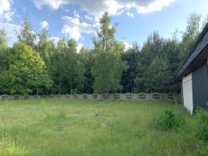 dom w środku lasu gm Izbica Kujawska