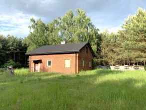 dom w środku lasu gm Izbica Kujawska