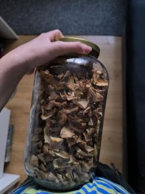 Sprzedam grzyby suszone