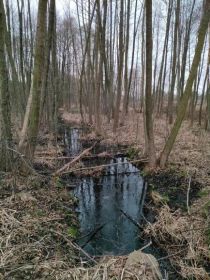 Sprzedam działkę zabudowaną