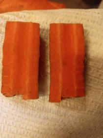 Marchew jadalna oraz dla zwierząt