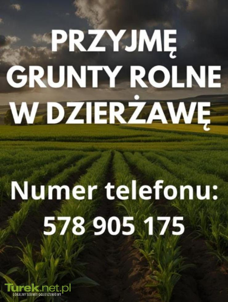 Przyjmę grunty rolne w dzierżawę!