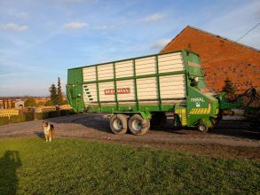 Sprzedam przyczepę samozbierajacą Bergmann Royal 28s 41...