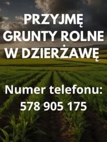 Przyjmę grunty rolne w dzierżawę (Dziadowice i okolice)