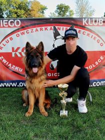 Owczarek niemiecki długowłosy fci