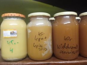 Miód , pyłek,propolis.