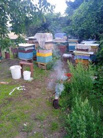 Miód , pyłek,propolis.