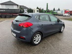 Kia Ceed 1.6 BENZYNA Klimatronik Nawigacja Kamera Ledy...