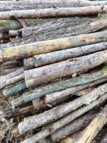 Drewno na opał