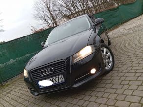 Audi/A3/Lift/1.9/TDI/Ładna/5-Drzwi/Zarejestr/