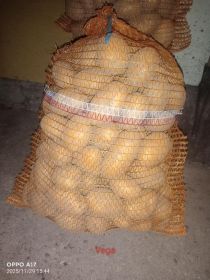 Sprzedam ziemniaki Soraya, Vega i Denar