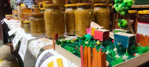 Miód,pyłek,propolis.