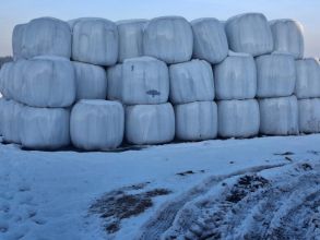 Sprzedam slome i sianokiszonke w belach