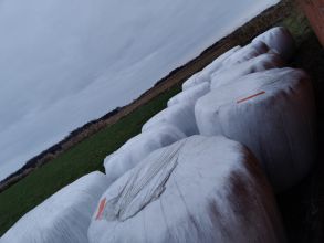 Sprzedam Lub zamienię