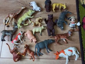 Zwierzątka różne i dinozaury