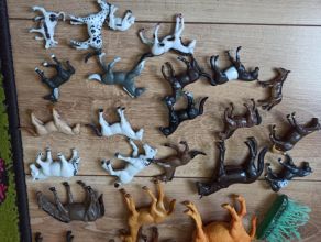 Zwierzątka różne i dinozaury