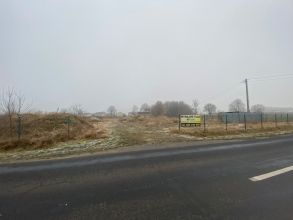 Wynajmę plac w miejscowości Albertów