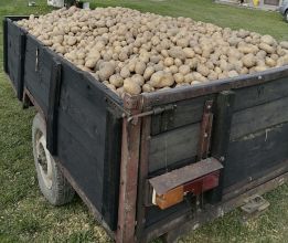 Przyczepka jednoosiowa