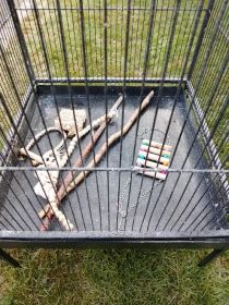 Klatka dla ptaków, papug, drobnej egzotyki.