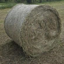 Sprzedam siano