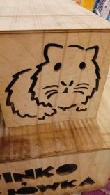 Kupię świnkę morską