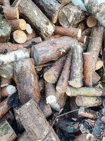 Drewno na opał