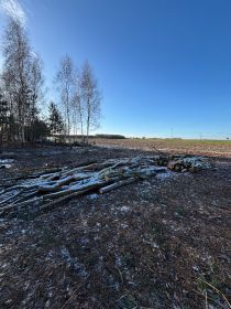 Drzewo opałowe liściaste