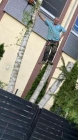 Ciecie drzewa wycinki drzew alpinistyczne porządki