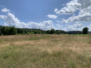 Działka budowlana na sprzedaż Albertów