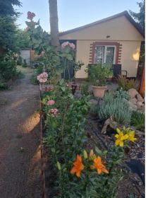 Sprzedam działkę ROD Włókniarz