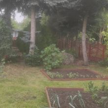 Sprzedam działkę ROD Włókniarz