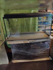 Akwarium z pokrywą i szafką (nowe)