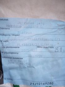 Jęczmień jary,łubin słodki