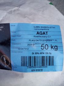 Jęczmień jary,łubin słodki