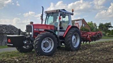 Orka, talerzowanie, siew zbóż