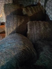 Sprzedam siano i slome