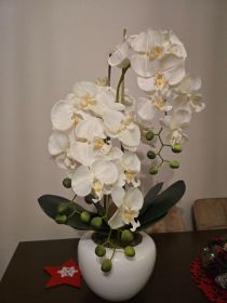 Sztuczny storczyk jak żywy.