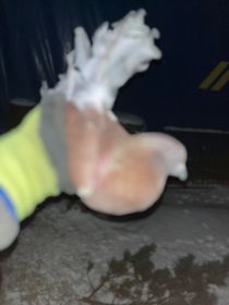 Sprzedam gołębie pawiki