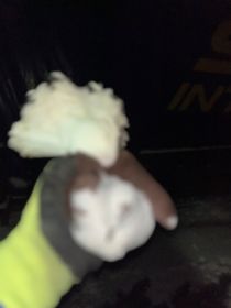 Sprzedam gołębie pawiki