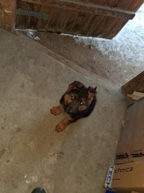 Oddam za koszty utrzymania...