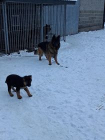 Oddam za koszty utrzymania...