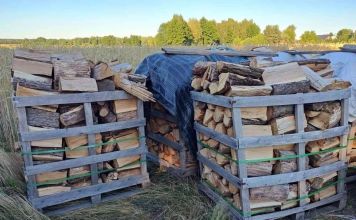 Drewno opałowe kominkowe