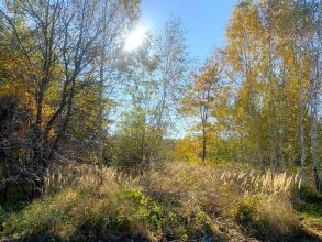 Działka budowlana na sprzedaż Kałek gm. Krzymów