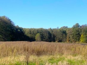Malownicza działka ns sprzedaż gm. Krzymów