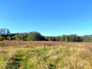 Malownicza działka ns sprzedaż gm. Krzymów